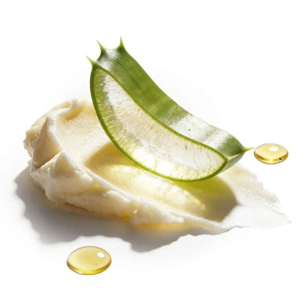 Shea butter with aloe vera and sunflower oil as nourishing ingredients in Yelf Aging Bye Bye Collagen Night Cream