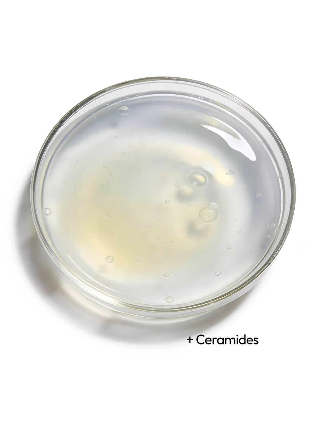 Top view of a clear liquid with fine bubbles in a petri dish, illustrating ceramides as a key skin barrier ingredient used in Yelf Ceramide Night Cream
