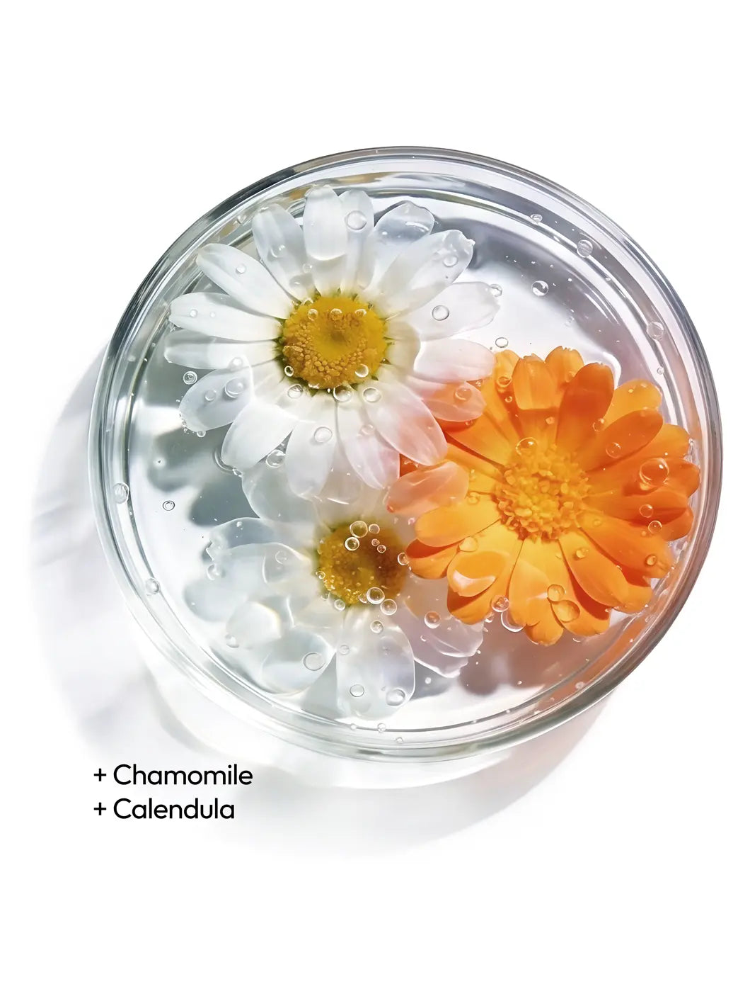 Top view of chamomile and calendula flowers in a clear liquid with fine bubbles in a petri dish, illustrating soothing botanical ingredients used in Yelf Clean Affairs Cleansing Foam
