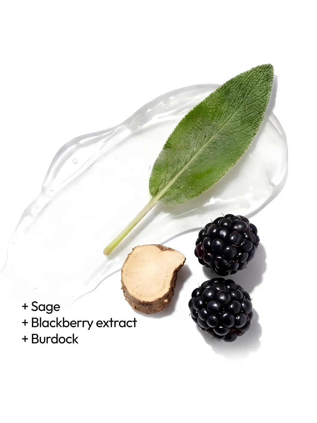 Top view of sage, blackberry extract and burdock with a light gel texture, illustrating clarifying botanical ingredients used in Yelf Clean Affairs Purifying Mousse