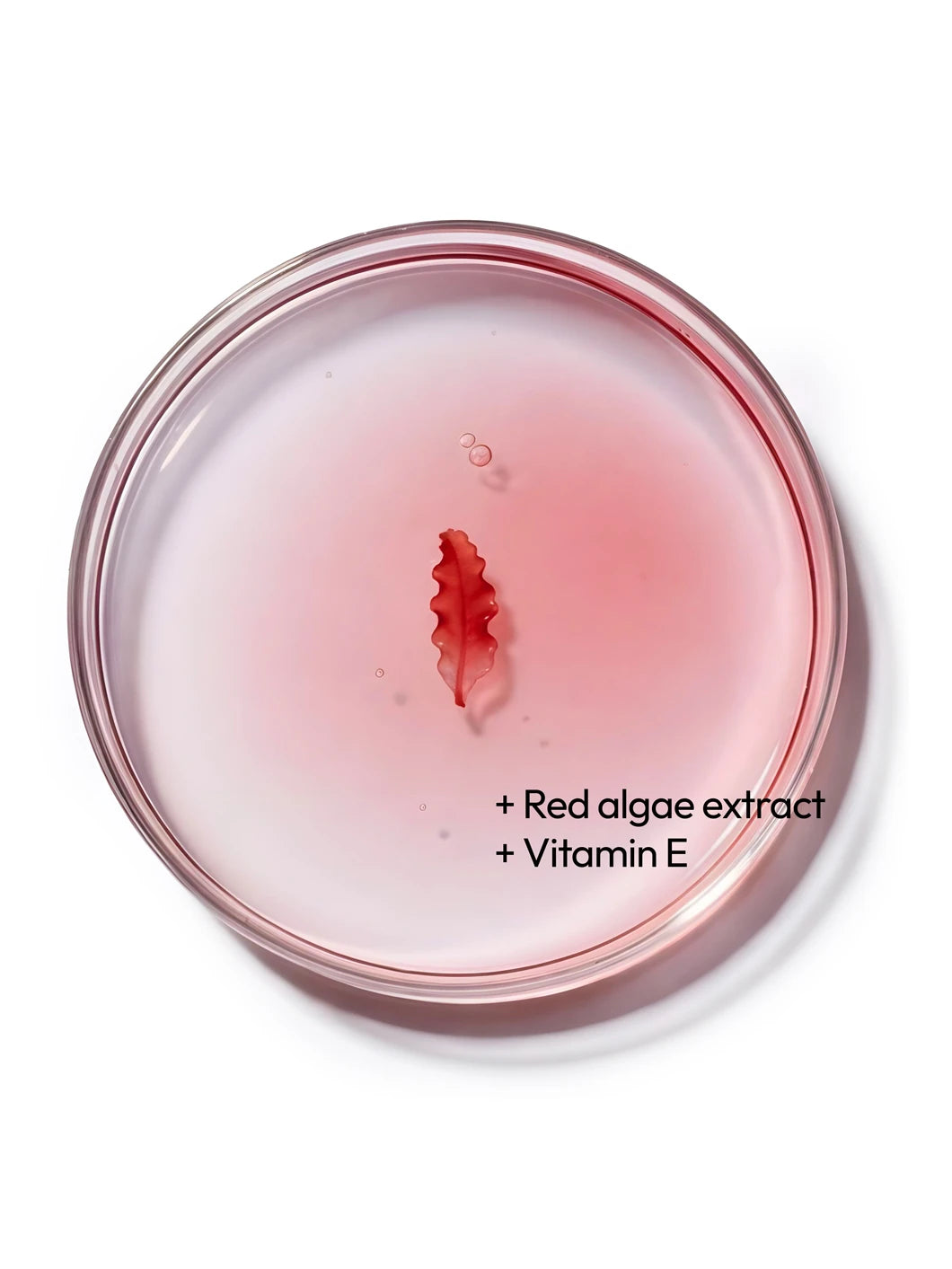 Top view of red algae extract in a soft pink liquid texture with vitamin E in a petri dish, illustrating calming ingredients used in Yelf Spot Off Anti-Redness Cream