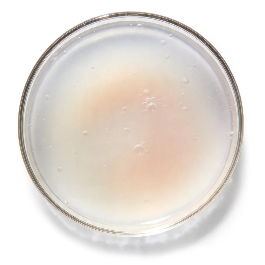 Top view of a transparent gel texture in a petri dish representing Yelf Spot Off Vitamin-B3 Gel with niacinamide.