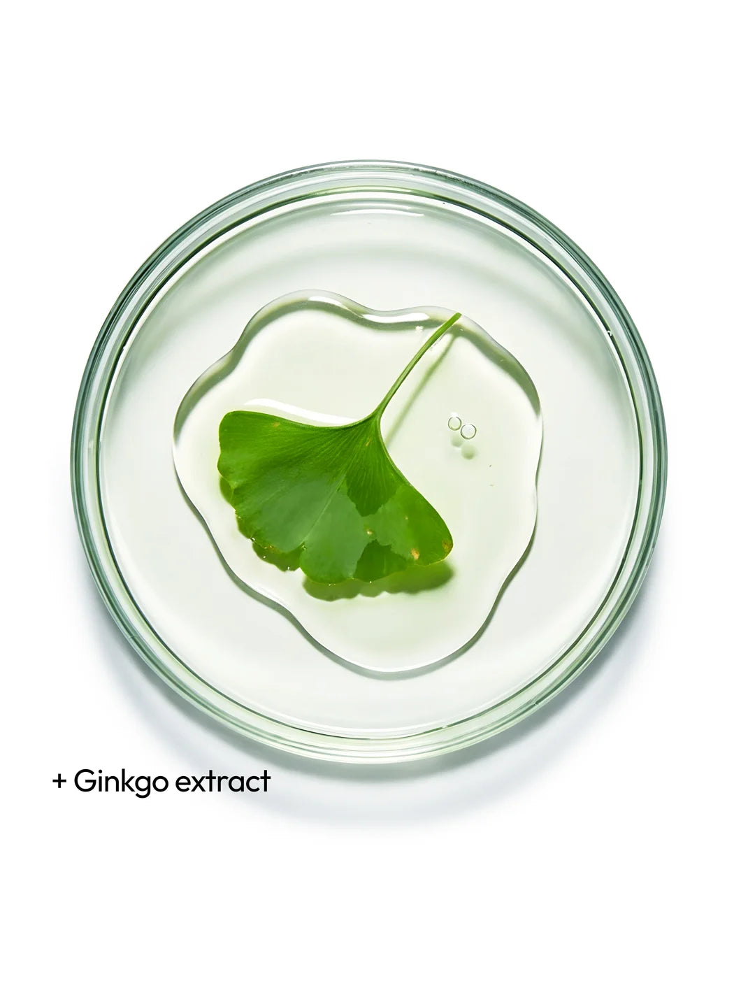 Top view of ginkgo extract in a clear gel texture within a petri dish, illustrating refreshing and revitalising properties in Yelf Viva el Boost Ginkgo Gel